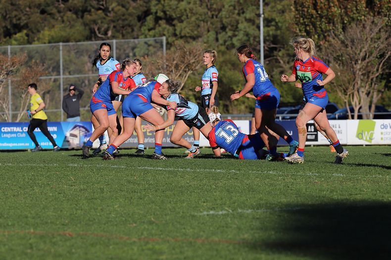 HNWP Rnd 7 Newcastle KNIGHTS v Cronulla SHARKS