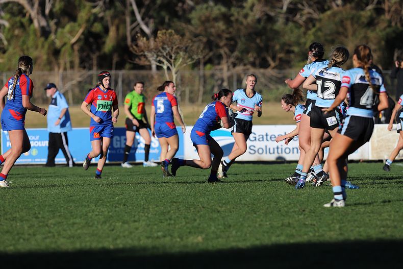 HNWP Rnd 7 Newcastle KNIGHTS v Cronulla SHARKS