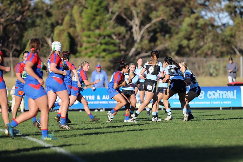 HNWP Rnd 7 Newcastle KNIGHTS v Cronulla SHARKS