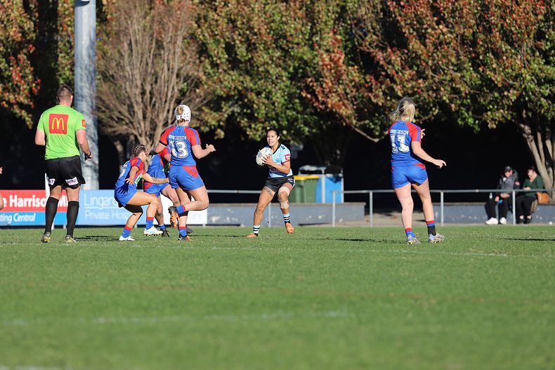 HNWP Rnd 7 Newcastle KNIGHTS v Cronulla SHARKS