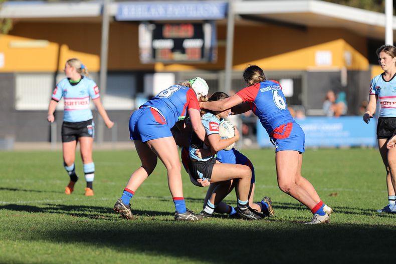 HNWP Rnd 7 Newcastle KNIGHTS v Cronulla SHARKS