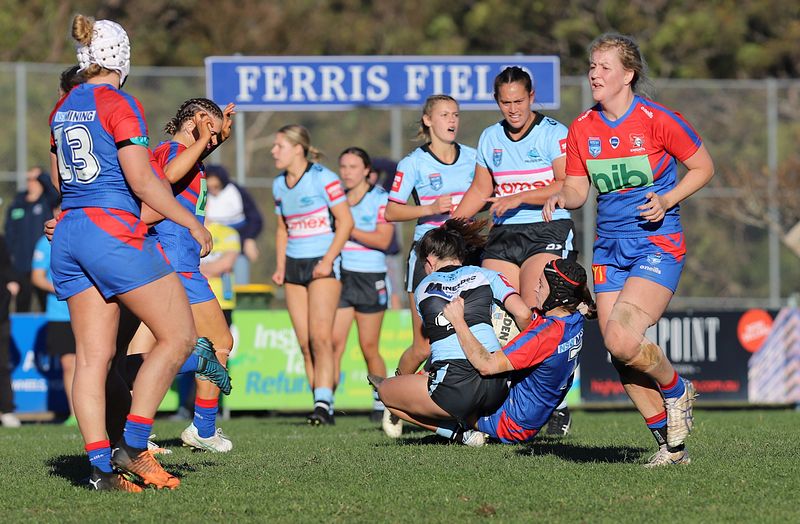 HNWP Rnd 7 Newcastle KNIGHTS v Cronulla SHARKS
