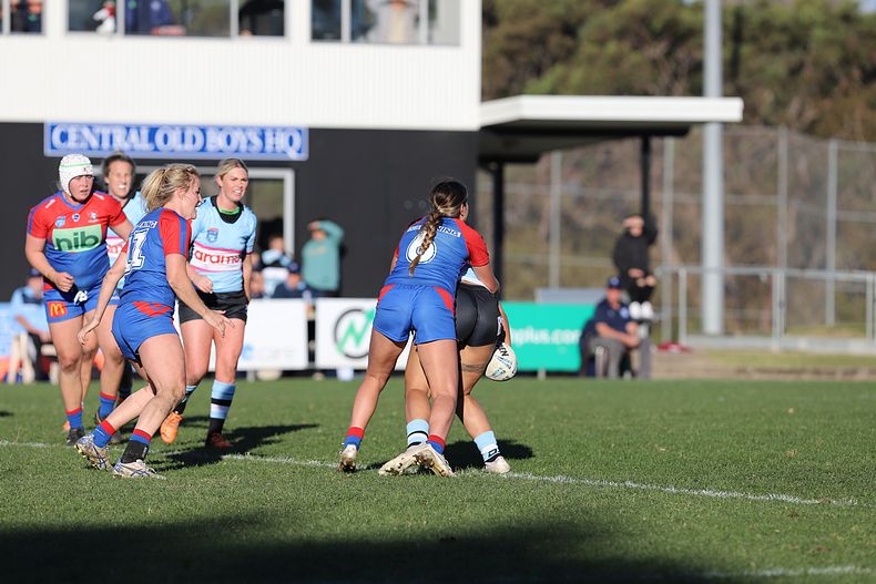 HNWP Rnd 7 Newcastle KNIGHTS v Cronulla SHARKS
