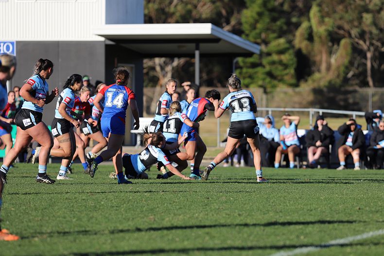 HNWP Rnd 7 Newcastle KNIGHTS v Cronulla SHARKS