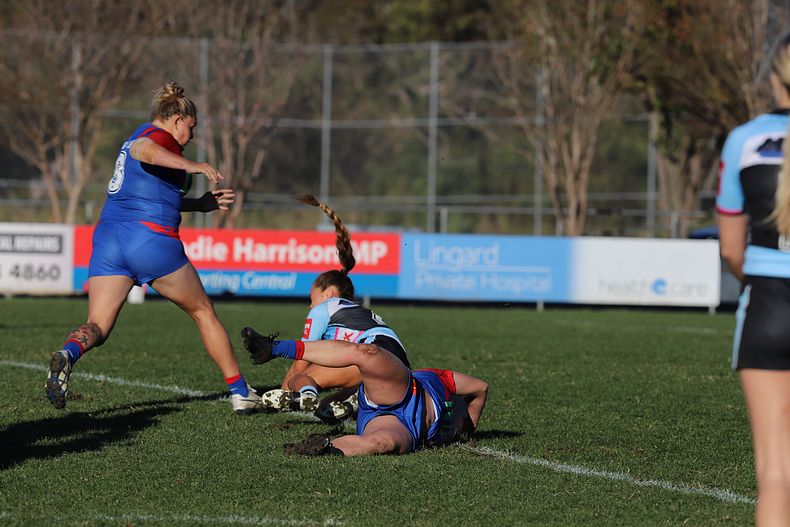 HNWP Rnd 7 Newcastle KNIGHTS v Cronulla SHARKS