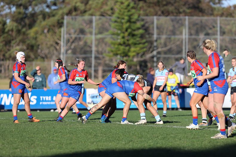 HNWP Rnd 7 Newcastle KNIGHTS v Cronulla SHARKS