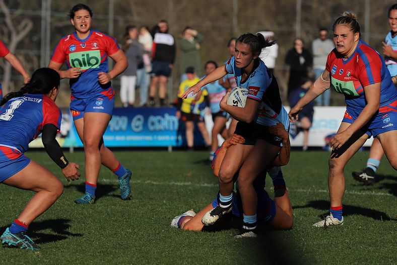HNWP Rnd 7 Newcastle KNIGHTS v Cronulla SHARKS