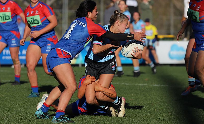 HNWP Rnd 7 Newcastle KNIGHTS v Cronulla SHARKS