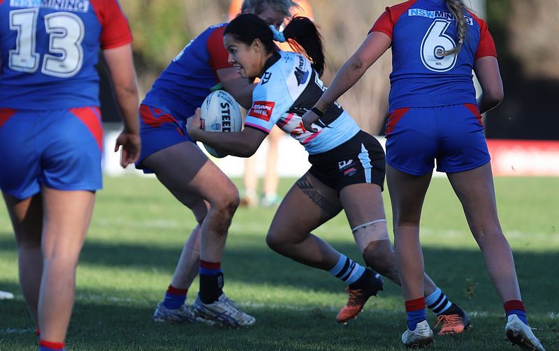 HNWP Rnd 7 Newcastle KNIGHTS v Cronulla SHARKS