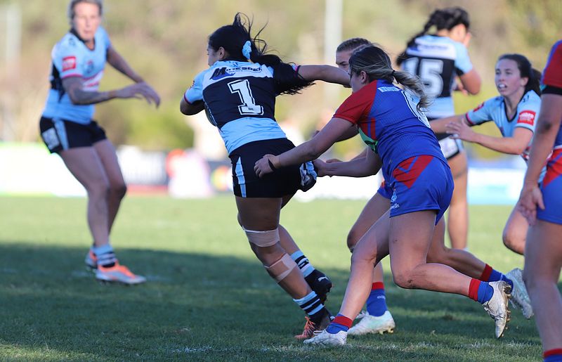 HNWP Rnd 7 Newcastle KNIGHTS v Cronulla SHARKS