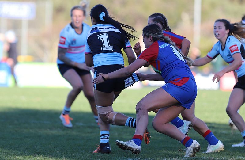 HNWP Rnd 7 Newcastle KNIGHTS v Cronulla SHARKS