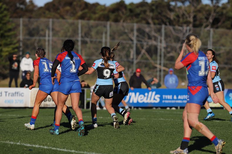 HNWP Rnd 7 Newcastle KNIGHTS v Cronulla SHARKS