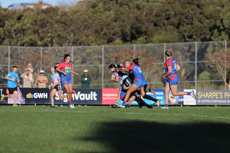 HNWP Rnd 7 Newcastle KNIGHTS v Cronulla SHARKS