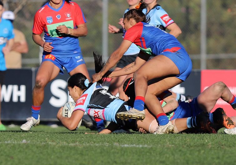 HNWP Rnd 7 Newcastle KNIGHTS v Cronulla SHARKS