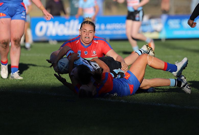 HNWP Rnd 7 Newcastle KNIGHTS v Cronulla SHARKS