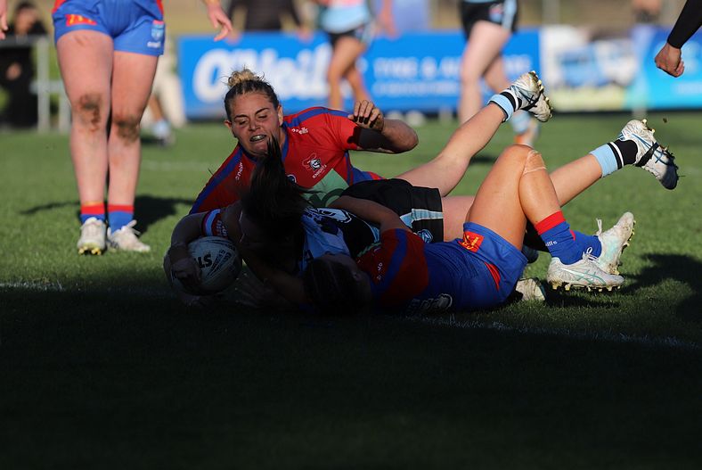 HNWP Rnd 7 Newcastle KNIGHTS v Cronulla SHARKS