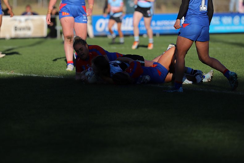 HNWP Rnd 7 Newcastle KNIGHTS v Cronulla SHARKS