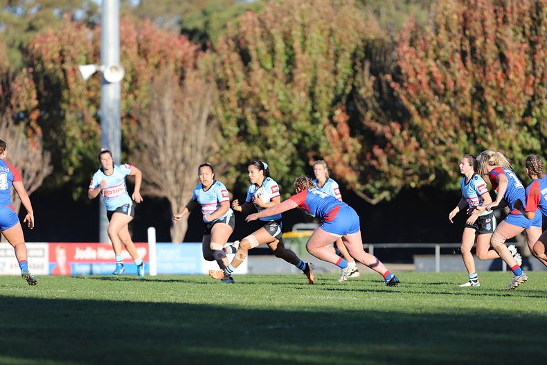 HNWP Rnd 7 Newcastle KNIGHTS v Cronulla SHARKS