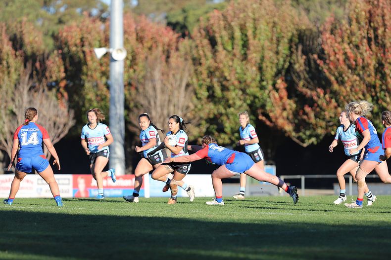 HNWP Rnd 7 Newcastle KNIGHTS v Cronulla SHARKS