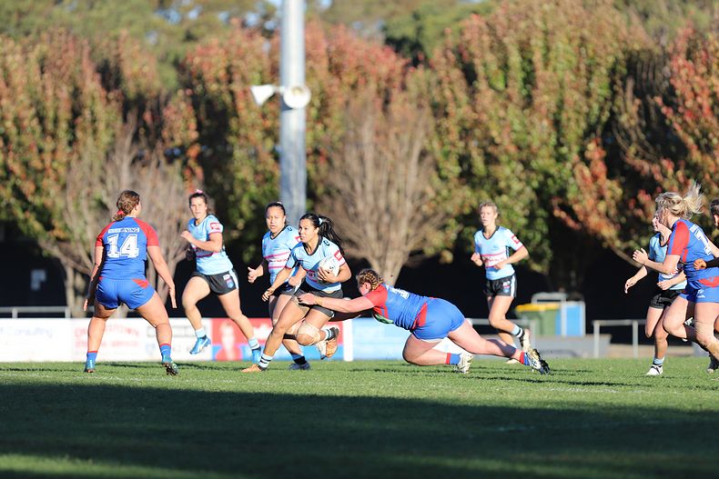 HNWP Rnd 7 Newcastle KNIGHTS v Cronulla SHARKS