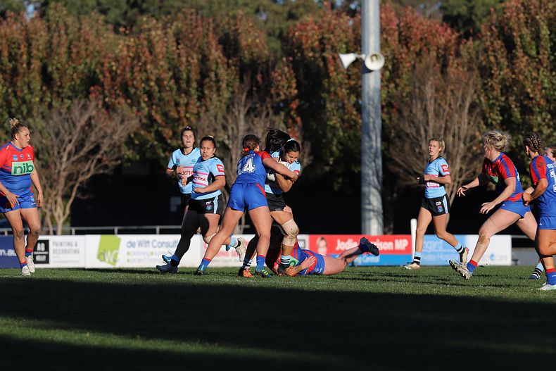 HNWP Rnd 7 Newcastle KNIGHTS v Cronulla SHARKS