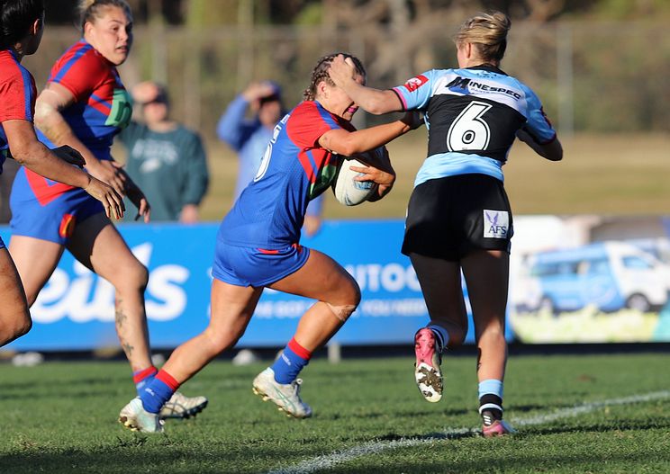 HNWP Rnd 7 Newcastle KNIGHTS v Cronulla SHARKS