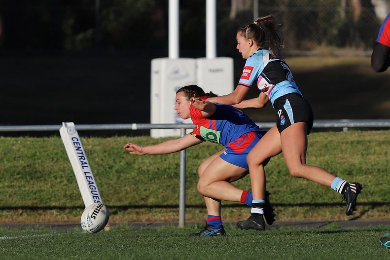 HNWP Rnd 7 Newcastle KNIGHTS v Cronulla SHARKS