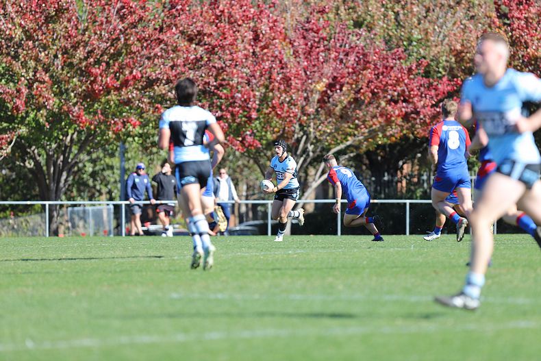 Jersey Flegg Rnd 14 KNIGHTS v SHARKS