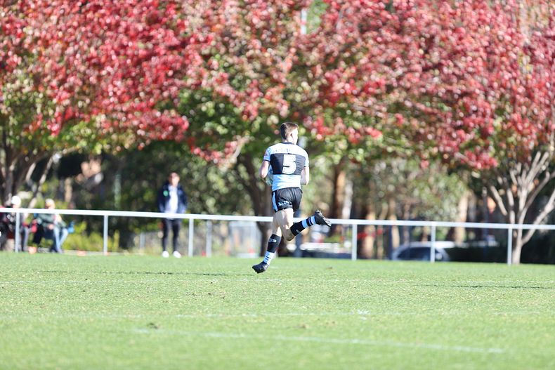 Jersey Flegg Rnd 14 KNIGHTS v SHARKS