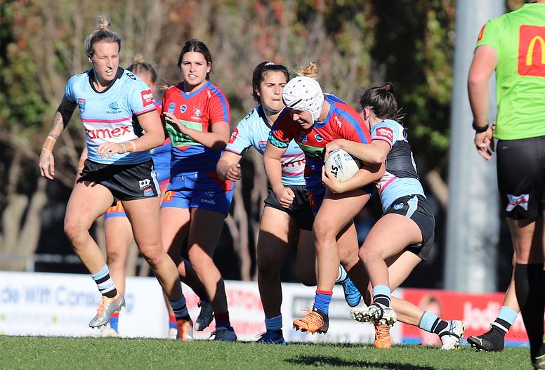 HNWP Rnd 7 Newcastle KNIGHTS v Cronulla SHARKS