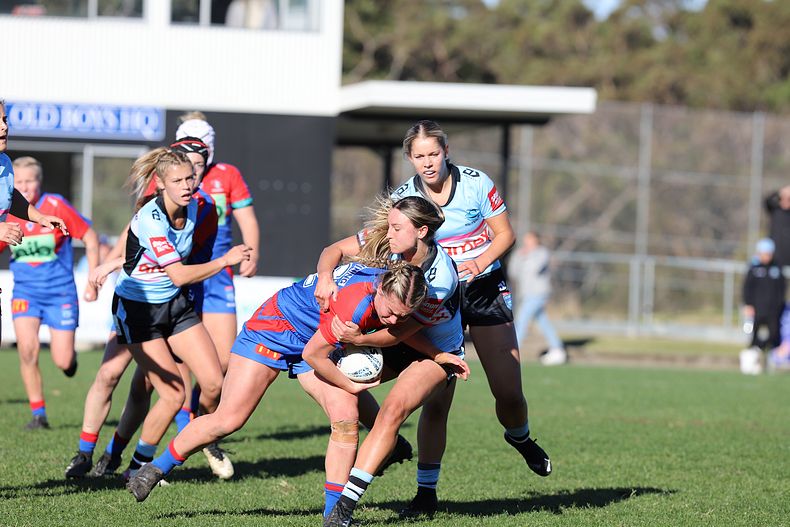 HNWP Rnd 7 Newcastle KNIGHTS v Cronulla SHARKS