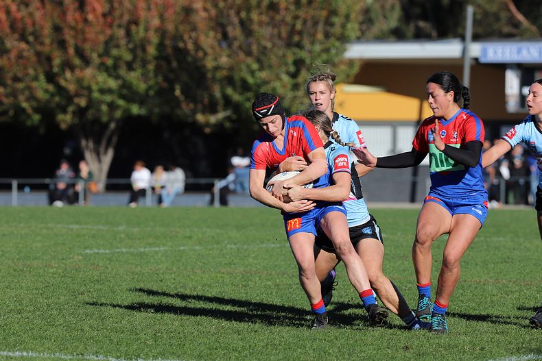 HNWP Rnd 7 Newcastle KNIGHTS v Cronulla SHARKS