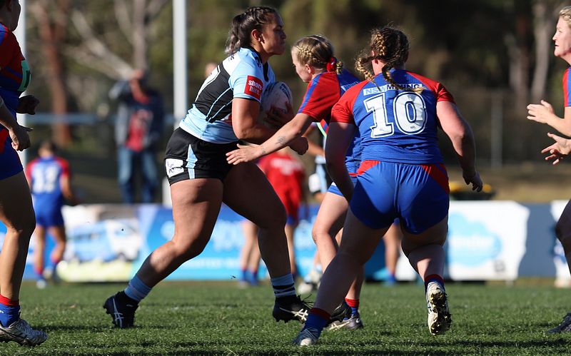 HNWP Rnd 7 Newcastle KNIGHTS v Cronulla SHARKS