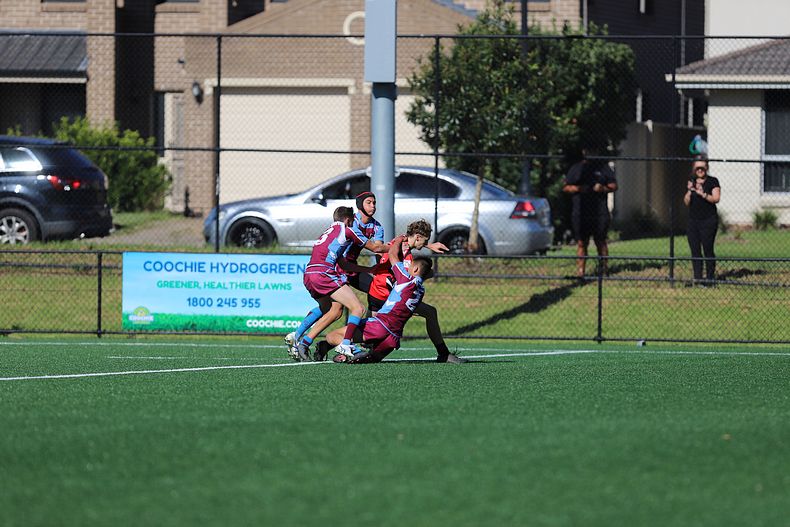 2022 CHS Buckley Shield – Endeavour SHS v The Hills SHS