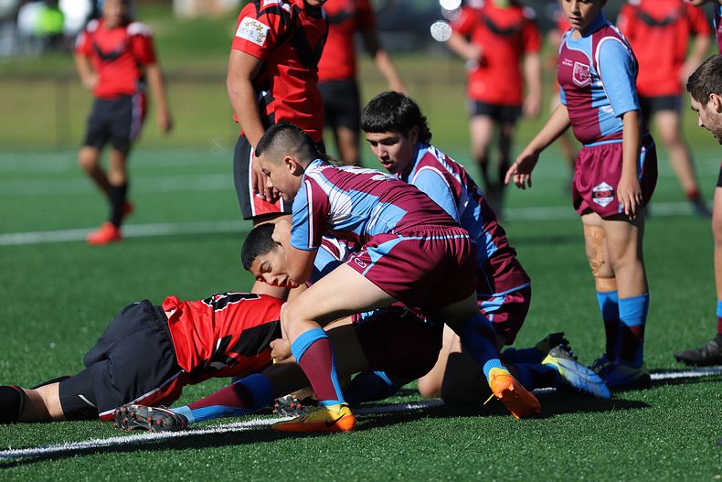 2022 CHS Buckley Shield – Endeavour SHS v The Hills SHS