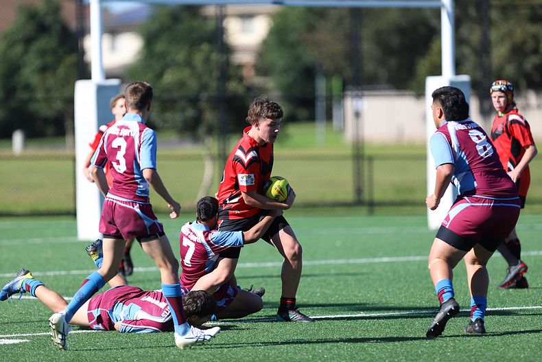 2022 CHS Buckley Shield – Endeavour SHS v The Hills SHS