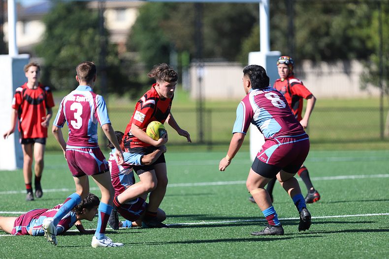 2022 CHS Buckley Shield – Endeavour SHS v The Hills SHS
