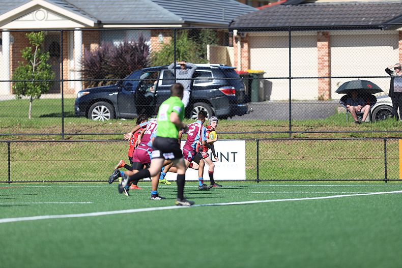 2022 CHS Buckley Shield – Endeavour SHS v The Hills SHS