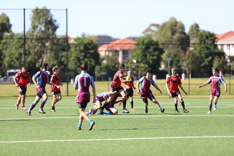 2022 CHS Buckley Shield – Endeavour SHS v The Hills SHS
