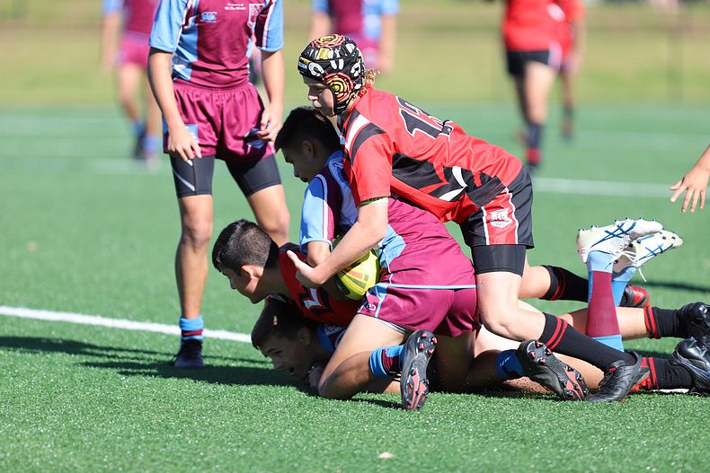 2022 CHS Buckley Shield – Endeavour SHS v The Hills SHS