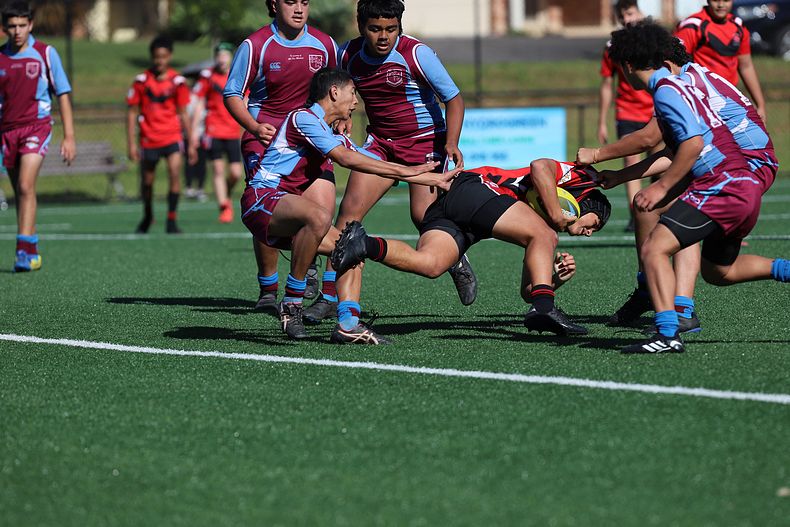 2022 CHS Buckley Shield – Endeavour SHS v The Hills SHS