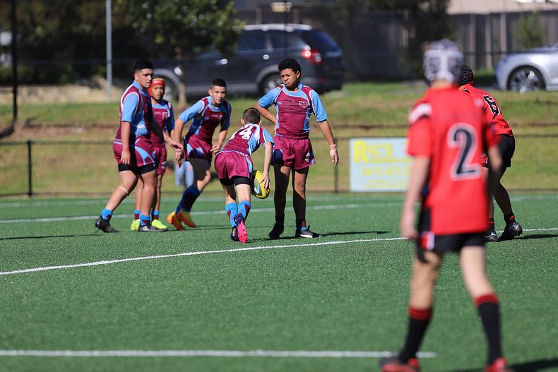 2022 CHS Buckley Shield – Endeavour SHS v The Hills SHS