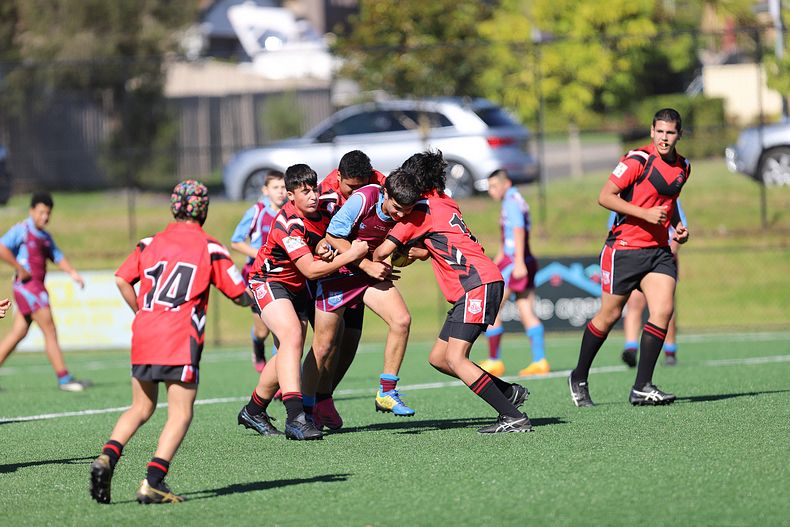 2022 CHS Buckley Shield – Endeavour SHS v The Hills SHS