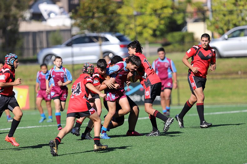 2022 CHS Buckley Shield – Endeavour SHS v The Hills SHS