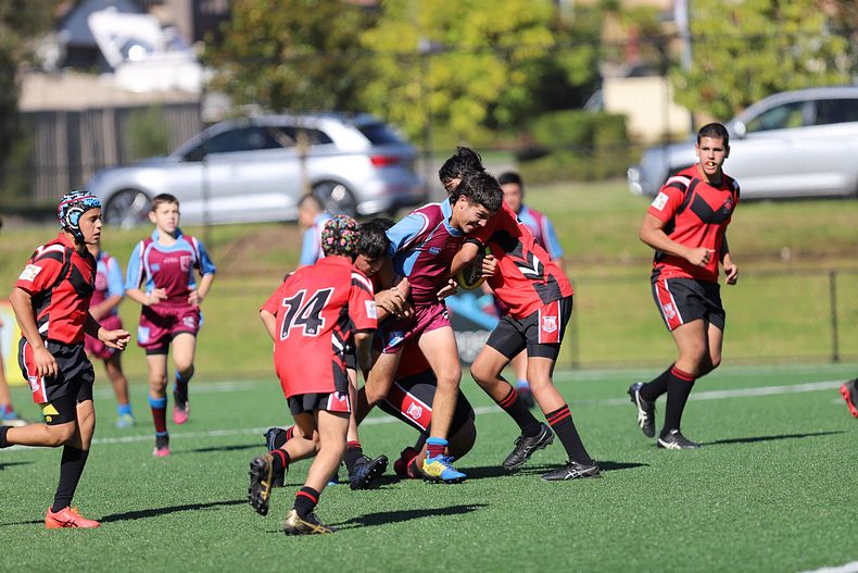 2022 CHS Buckley Shield – Endeavour SHS v The Hills SHS