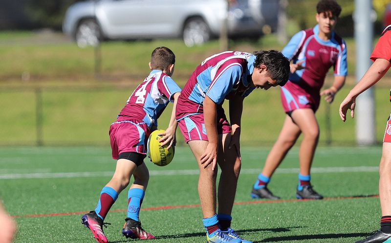 2022 CHS Buckley Shield – Endeavour SHS v The Hills SHS