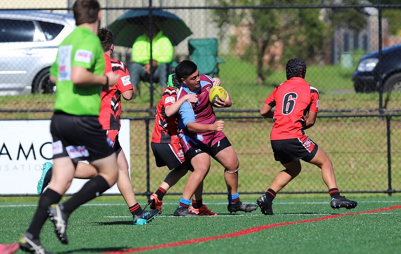 2022 CHS Buckley Shield – Endeavour SHS v The Hills SHS