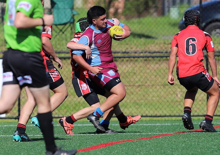2022 CHS Buckley Shield – Endeavour SHS v The Hills SHS