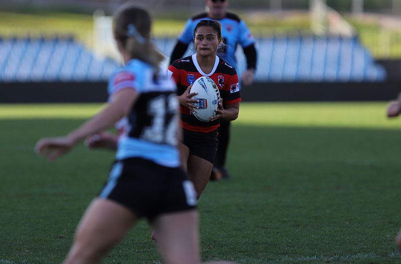 HNWP Rnd 8 SHARKS v BEARS