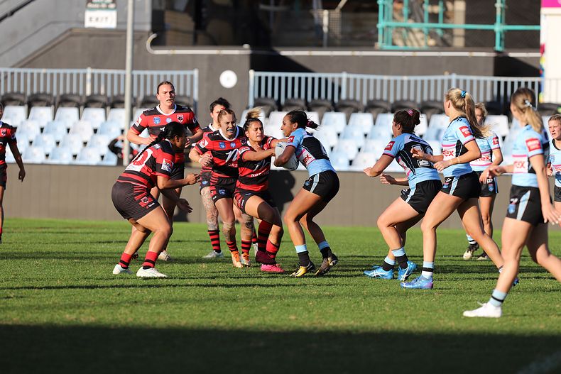 HNWP Rnd 8 SHARKS v BEARS